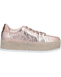 guess trainers jd