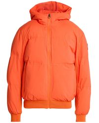 Bikkembergs - Puffers - Lyst