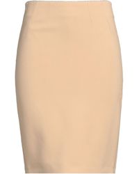 Elisabetta Franchi - Mini Skirt - Lyst