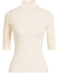 Peserico - Turtleneck - Lyst