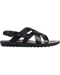 sandale tod's homme