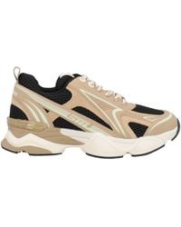 Steve Madden - Sneakers - Lyst