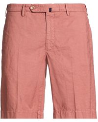 Incotex - Antique Rose Shorts & Bermuda Shorts Cotton - Lyst
