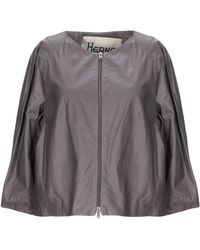 Herno Blouson - Gris