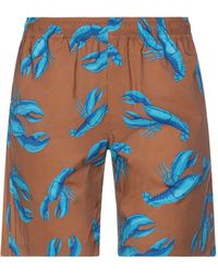 MSGM - Shorts & Bermuda Shorts - Lyst