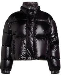 Add - Puffers - Lyst