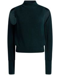 Roberto Collina - Turtleneck Merino Wool - Lyst