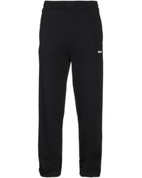 MSGM - Hose - Lyst