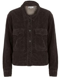 Crossley - Jacket Cotton, Elastane - Lyst
