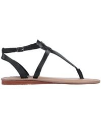 Steve Madden - Thong Sandal - Lyst