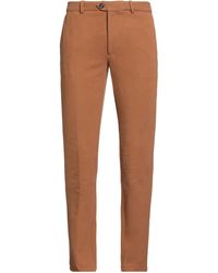 Circolo 1901 - Pants Cotton, Elastane - Lyst