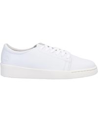 timberland sneakers white