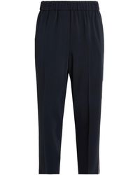 Peserico - Pants Viscose, Elastane - Lyst