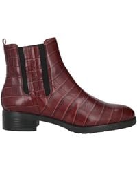 Wonders - Ankle Boots - Lyst