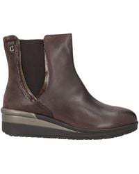 Cinzia Soft - Dark Ankle Boots Leather - Lyst