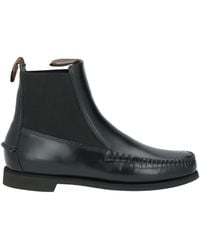 Sebago - Bottines - Lyst