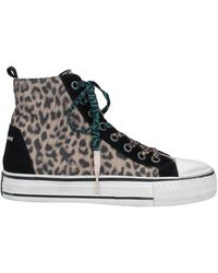 Bambas ash Clearance