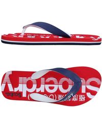 Superdry Tongs - Bleu