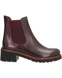Calpierre - Ankle Boots - Lyst