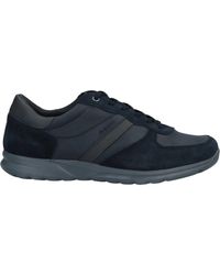 Geox Low Sneakers & Tennisschuhe - Blau