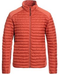 Colmar - Puffer - Lyst