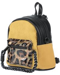 Steve Madden Backpacks for Women 
