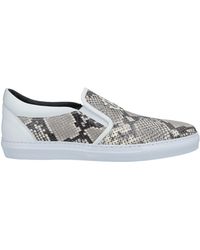 roberto cavalli viper sneakers