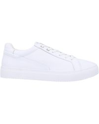 scarpe paciotti basse