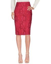 Elisabetta Franchi Falda corta - Rojo