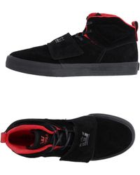 supra high tops