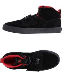 supra shoes high tops