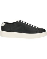 Doucal's - Sneakers - Lyst