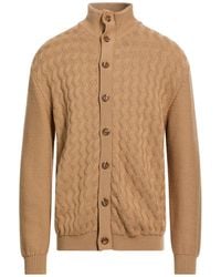 Daniele Fiesoli - Camel Cardigan Virgin Wool - Lyst