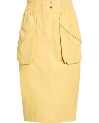 Pinko - Midi Skirt - Lyst