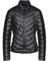 trussardi jacket price