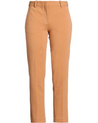 Circolo 1901 - Pants - Lyst