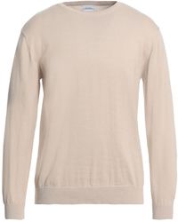 Sseinse - Sweater Cotton - Lyst