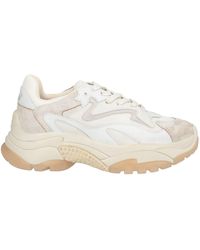 Ash - Sneakers Leather - Lyst