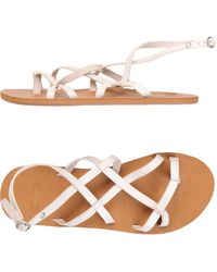 roxy flats