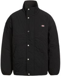 Dickies - Chaqueta Y Cazadora - Lyst