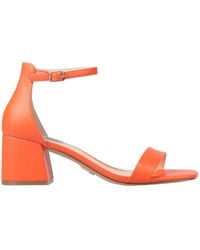 Steve Madden - Sandals - Lyst
