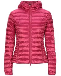 Ciesse Piumini Plumas - Multicolor