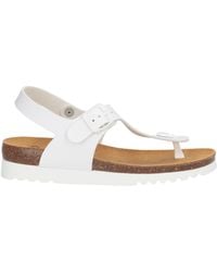 Scholl - Thong Sandal - Lyst