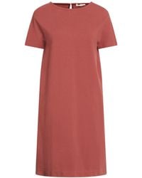Circolo 1901 - Mini Dresses - Lyst