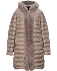 Geox Piumino - Marrone