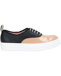 Studio Pollini - Camel Sneakers Soft Leather - Lyst