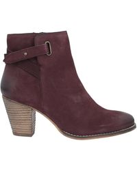 carvela spire