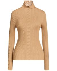 Roberto Collina - Turtleneck Merino Wool - Lyst