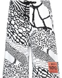 Just Cavalli - Shorts & Bermuda Shorts - Lyst
