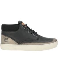 Timberland - Sneakers Leather - Lyst
